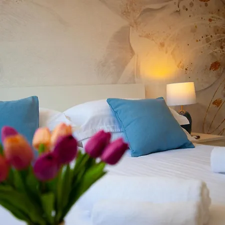 A&a * マカルスカ